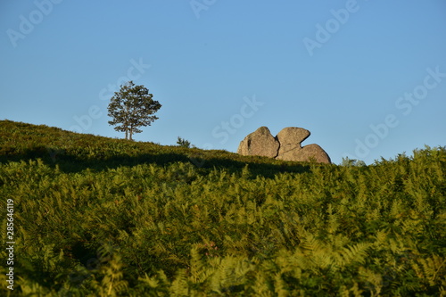 Altopiano dell' Argimusco - Montalbano Elicona- Sicilia Mionti Peloritani . Le pietre possiedono particolari forme, antropomorfe e zoomorfe photo