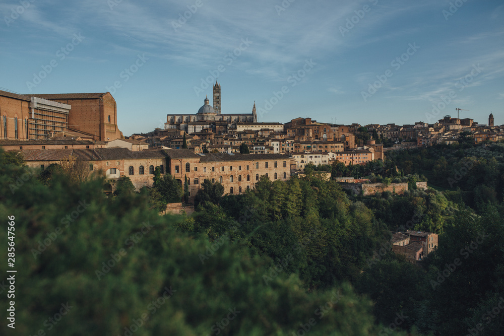 Siena City View