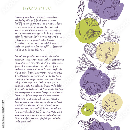 Food background with colorful beet root vegetable with brush stroke Hand drawn vertical social media template