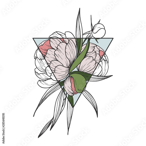 Floral clip art with peony flowers and triangle hand drawn botany isolated illustrations