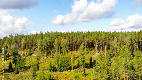 Aerial view of forest on a summer sunny day in Finland. Drone photography