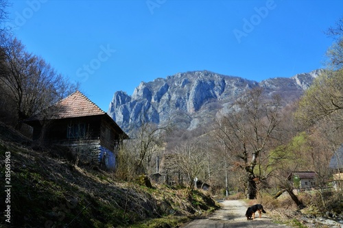 Fototapeta Naklejka Na Ścianę i Meble -  rural landscape Apuseni mountains