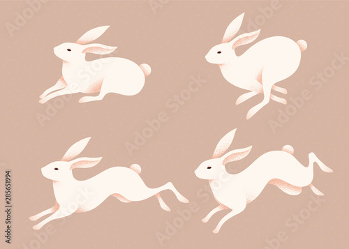Lovely jumping white rabbits
