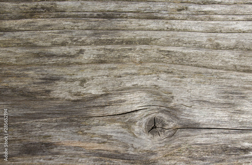 Old grey wood plank texture background. Horizontal uncouth weathered plank.