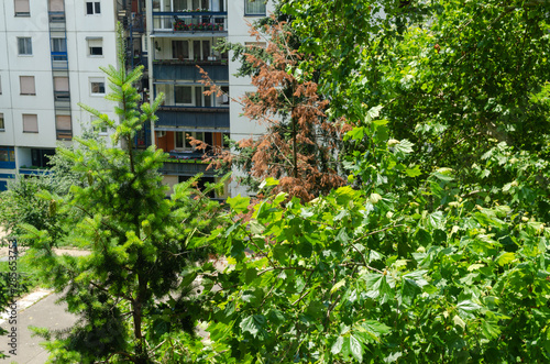 Block of a residential buildings with lush park trees in summer