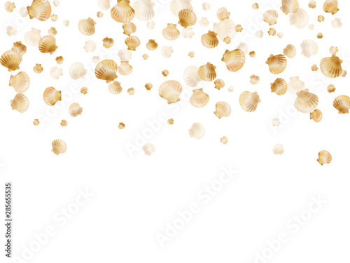 Gold seashells vector  golden pearl bivalved mollusks.