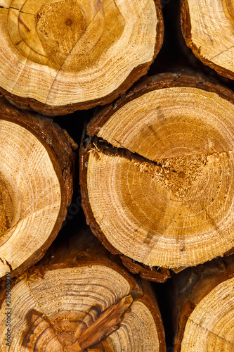 Chopped firewood closeup. Natural wooden background.