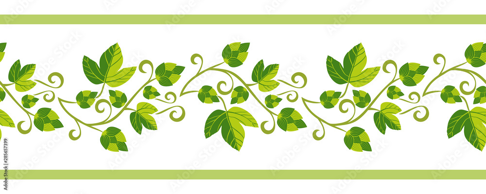 Hop plant hand drawn pattern seamless border isolated