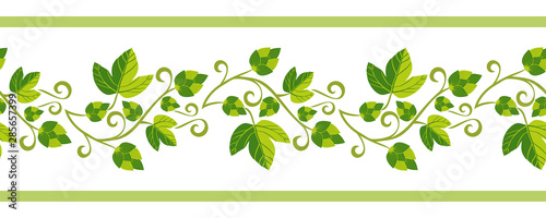 Hop plant hand drawn pattern seamless border isolated