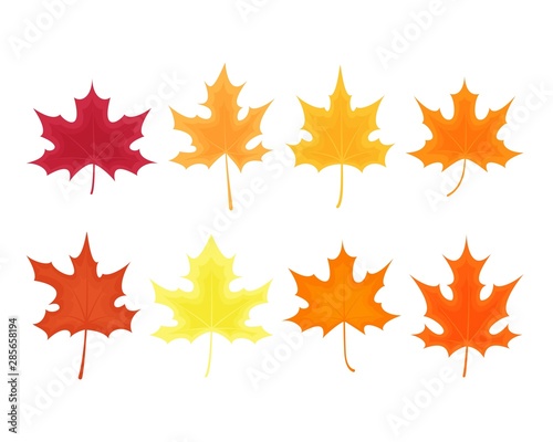Autumn leaves set of maple tree on white background. Colorful maple leaves drawn in cartoon style. Clipart elements for card  poster  banner  wallpaper  wrapping  textile  fabric  tile  print design