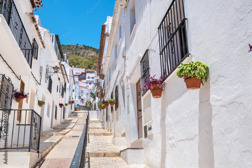 Fototapeta premium White streets of Mijas. Andalusia, Spain