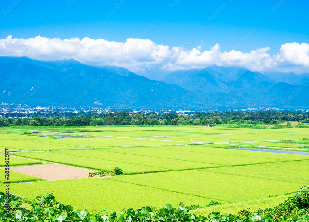 Fototapeta premium 夏から秋へ 安曇野の田園風景