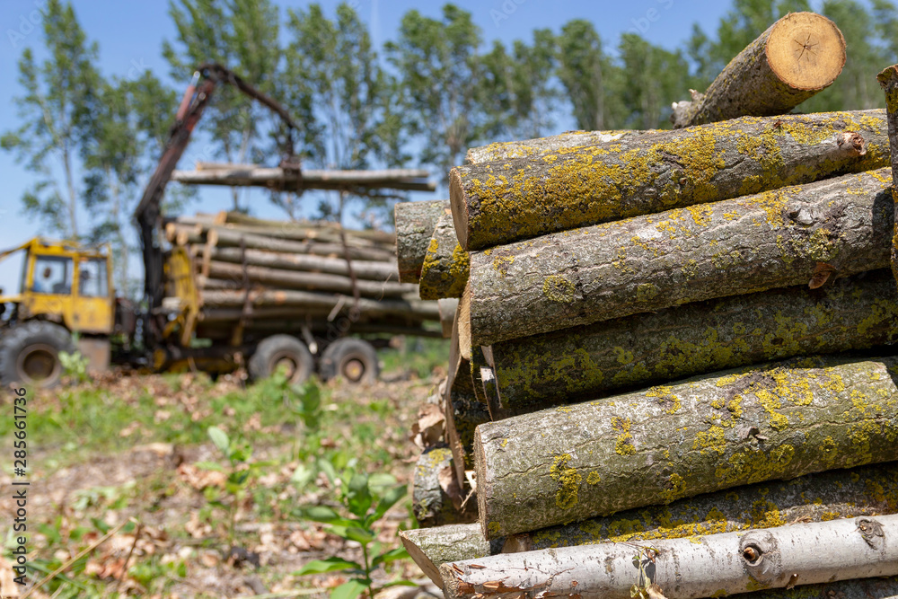 Pile of Wood Logs With Log Loader in the Background - Lumber Industry Pile of Wood Logs With Log Loader in the Background - Lumber Industry