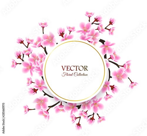 Spring cherry blossom frame - isolated round text template with sakura frame