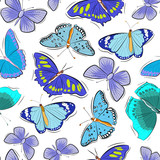 Butterflies in blue on white background