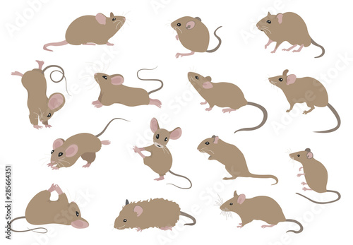 Different mice. Mouse yoga poses and exercises. Cute cartoon clipart set photo