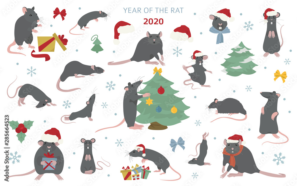 Different rats christmas collection. Rat poses and exercises. Cute cartoon new year clipart set Different rats christmas collection. Rat poses and exercises. Cute cartoon new year clipart set