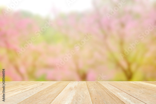 Table top on soft blur pink flower beautiful nature