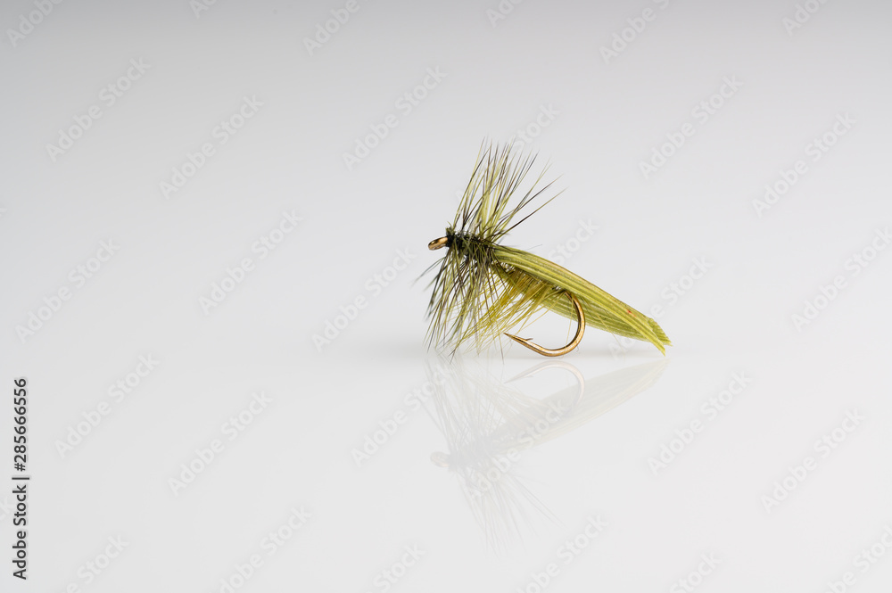 Traditional olive horned caddis Dry Fly Fishing fly against a white background with copy space Traditional olive horned caddis Dry Fly Fishing fly against a white background with copy space