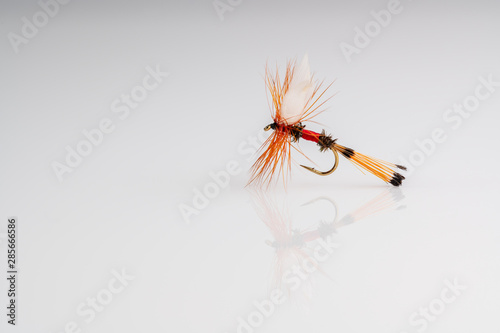Traditional Royal Coachman Dry Fly Fishing fly against a white background with copy space
