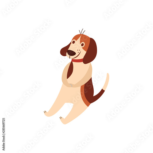 Сute beagle puppy or dog flat cartoon character vector illustration isolated.