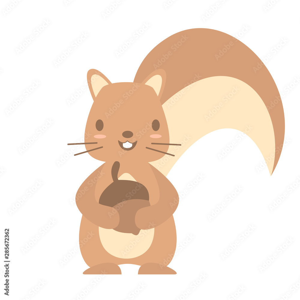 cute lovely cartoon character squirrel with acorn vector illustration isolated on white background