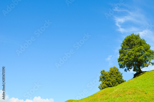 Green trees on a steep hill, blue sky with light clouds behind the horizon. Copy space for text. Empty space. Motivation, personal development concept. Personal growth. Conceptual background