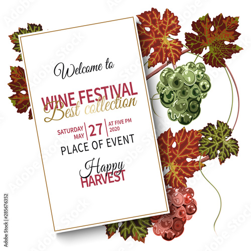 Colorful background with grapes and vine for wine festival.
