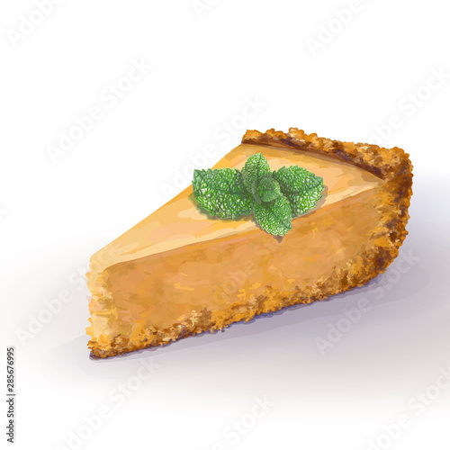 Vector piece of pumpkin cheesecake cake with mint sprig, tender, delicate creamy-curd cheese. Crisp, crumbly cake with back, appetizing, realistic, homemade cakes, hand drawn. Tasty, cottage pastry.