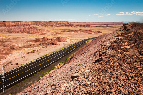 Road through a red desert