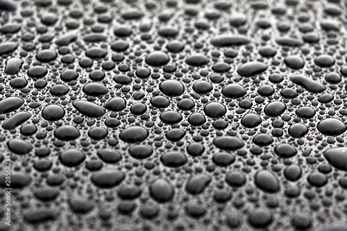 hundreds and thousands of water droplets beading on a gloss black surface of a waxed car photo