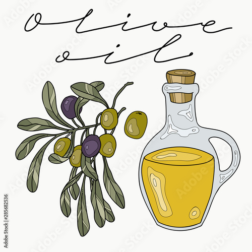 olive oil and olives, vector