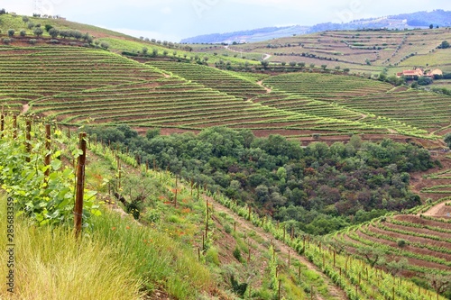 Portugal Douro valley