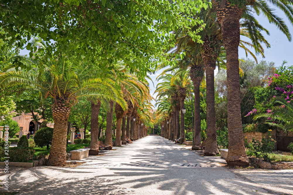 Avenue with palm trees in the garden Ibleo in Ragusa Ibla in Sicily, Italy.