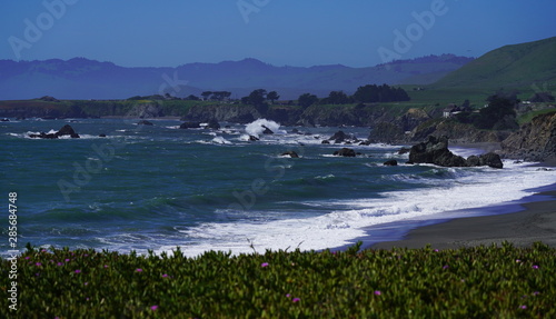 Field of colorful wild flowers and beautiful coastline on Pacific Coast, California. © Fangzhou