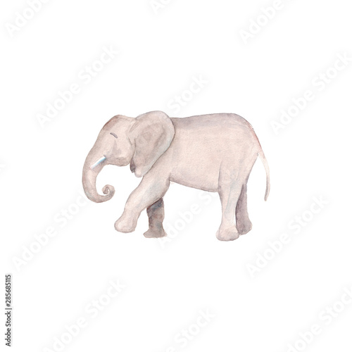Fototapeta Naklejka Na Ścianę i Meble -  Watercolor hand drawn sketch illustrations of African elephant isolated on white