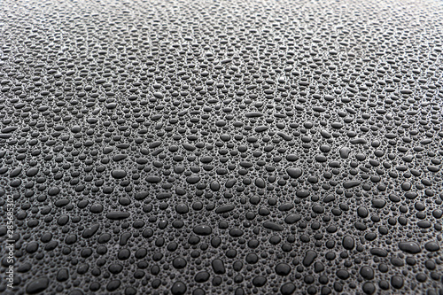 Fototapeta hundreds and thousands of water droplets beading on a gloss black surface of a w