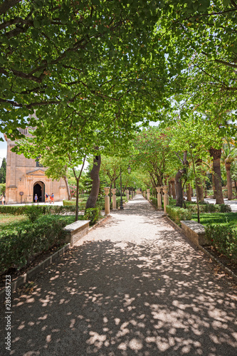 Tree-lined avenue in the Ibleo garden in Ragusa Ibla in Sicily, Italy.