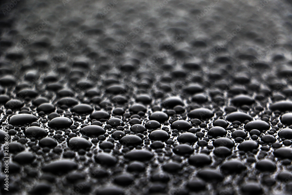 Fototapeta premium hundreds and thousands of water droplets beading on a gloss black surface of a waxed car