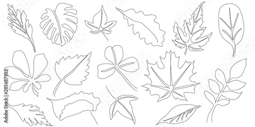 Set of hand drawn scribble leaves. Collection of leaves of different plants in doddles style. Design element. Continuous line. Vector. Isolated on white background.