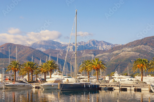 View of yacht marina of Porto Montenegro on sunny winter day. Montenegro, Kotor Bay of Adriatic Sea, Tivat city