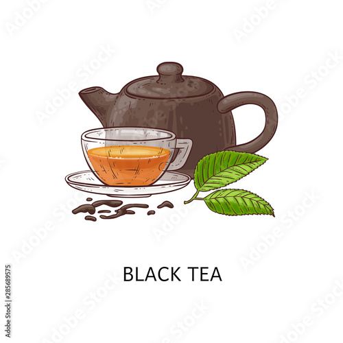 Black tea composition drawing - hot herbal drink in glass cup with teapot and green leaves