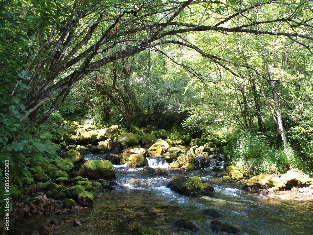 Mystische Waldquelle im Socatal Mystische Waldquelle im Socatal