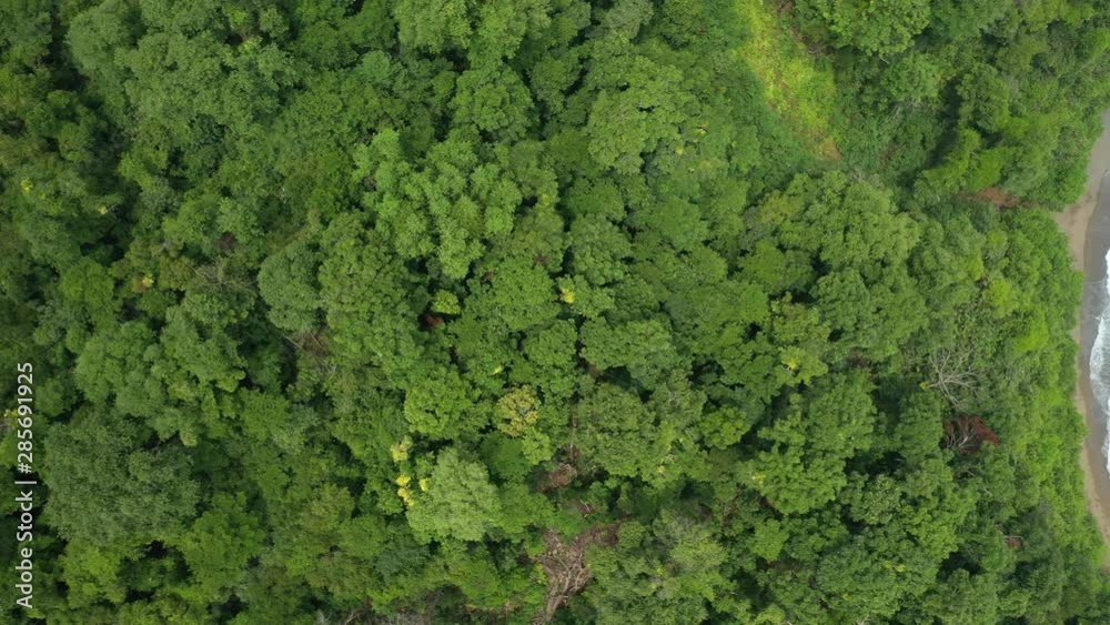 Aerial Drone View of a private beach surrounded by the lush jungle in a tropical island