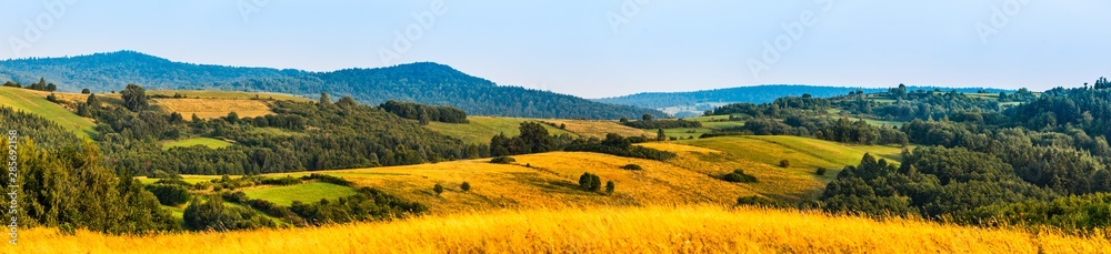 Panorama landscape of rural Sub-Carpathian region area covered with fields, meadows and forests.