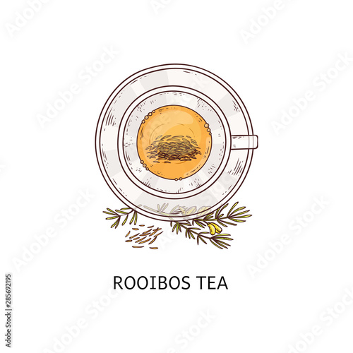 Rooibos tea in glass cup drawing seen from top overhead view