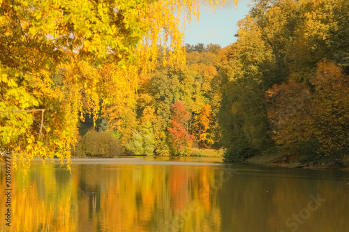 beautiful autumn trees with yellow branches and leaves near water with reflection with nobody