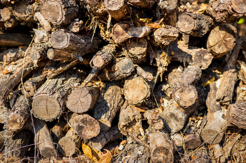 Pile of old wood