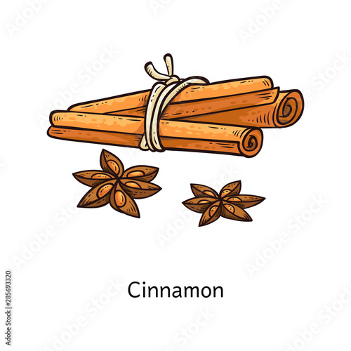 Cinnamon stick and flower drawing set