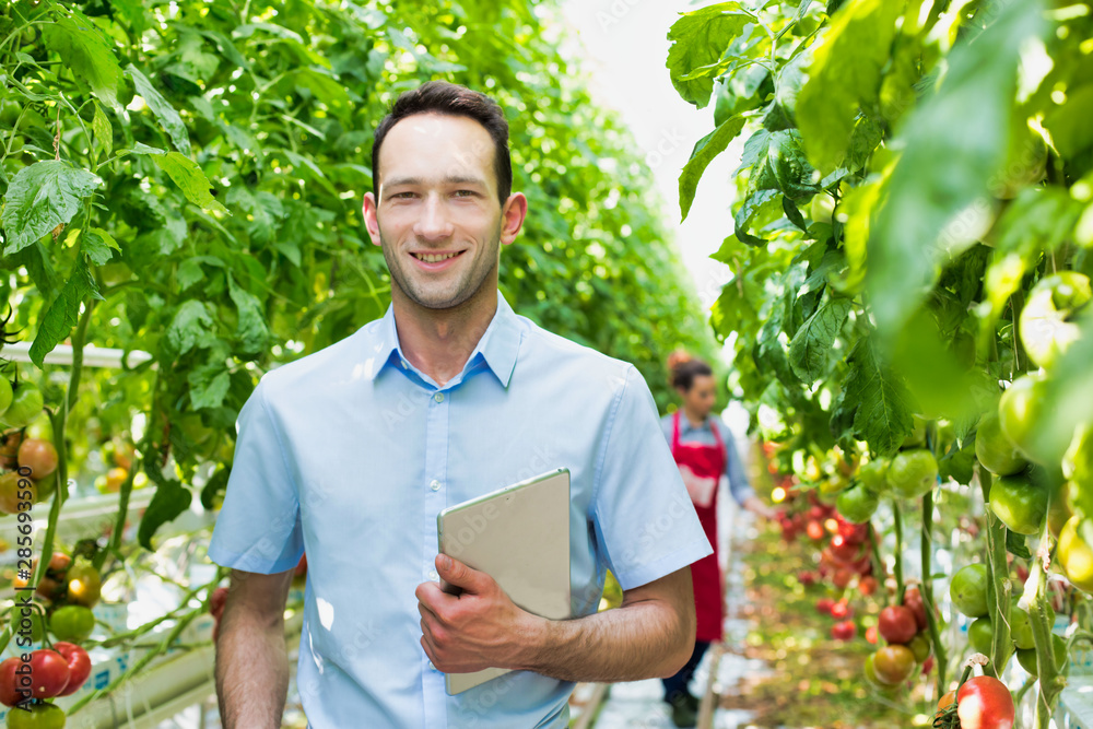 Smiling confident supervisor standing while holding digital tablet in greenhouse Smiling confident supervisor standing while holding digital tablet in greenhouse